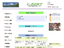 Tablet Screenshot of c-port.com